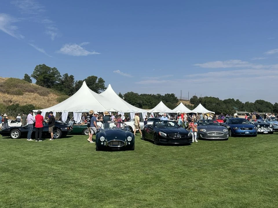 Classic and modern cars displayed on a lawn